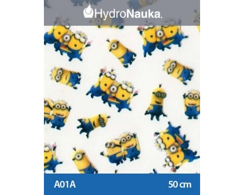 Folia do hydrografiki Minionki